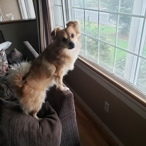 Meet your Posher, Jose